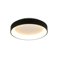 Black Ceiling Lights