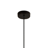 Nora 18cm Adjustable 1 Light Glass Pendant Light - Black & Frosted