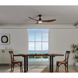 Norette Ceiling Fan with Light - Black & Walnut