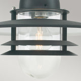 Close-up of an Oslo Outdoor 1 Light Chain Pendant in Black, showcasing a Scandinavian design with its clear glass casing and galvanized steel frame. The visible bulb inside adds charm as it is mounted against a plain, light-colored background.