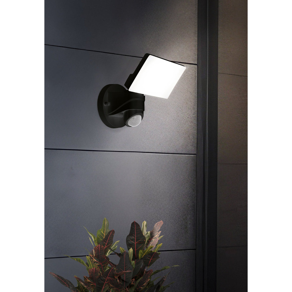 Pagino LED Flood Light with Motion Sensor - Black