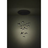 Paratebueno 17 Light Pendant - Black