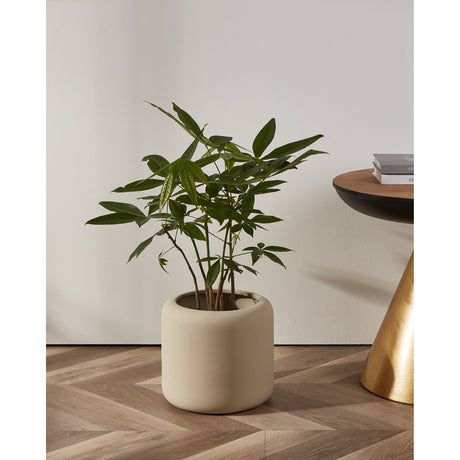 Parkent ceramic plant pot in beige with a rounded cylindrical shape and rolled rim, holding a green leafy plant on a wooden chevron floor beside a white wall.