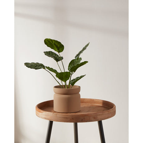 Parkent Ceramic Plant Pot in sand with a matt finish and rounded collar rim, holding a green leafy plant on a round wooden side table.