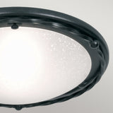 This stylish piece from the Pembroke collection showcases a black flush light featuring a round, speckled white glass shade complemented by a dark, twisted hand-forged iron frame. Its simple yet elegant design makes it ideal for indoor lighting against a light gray background.