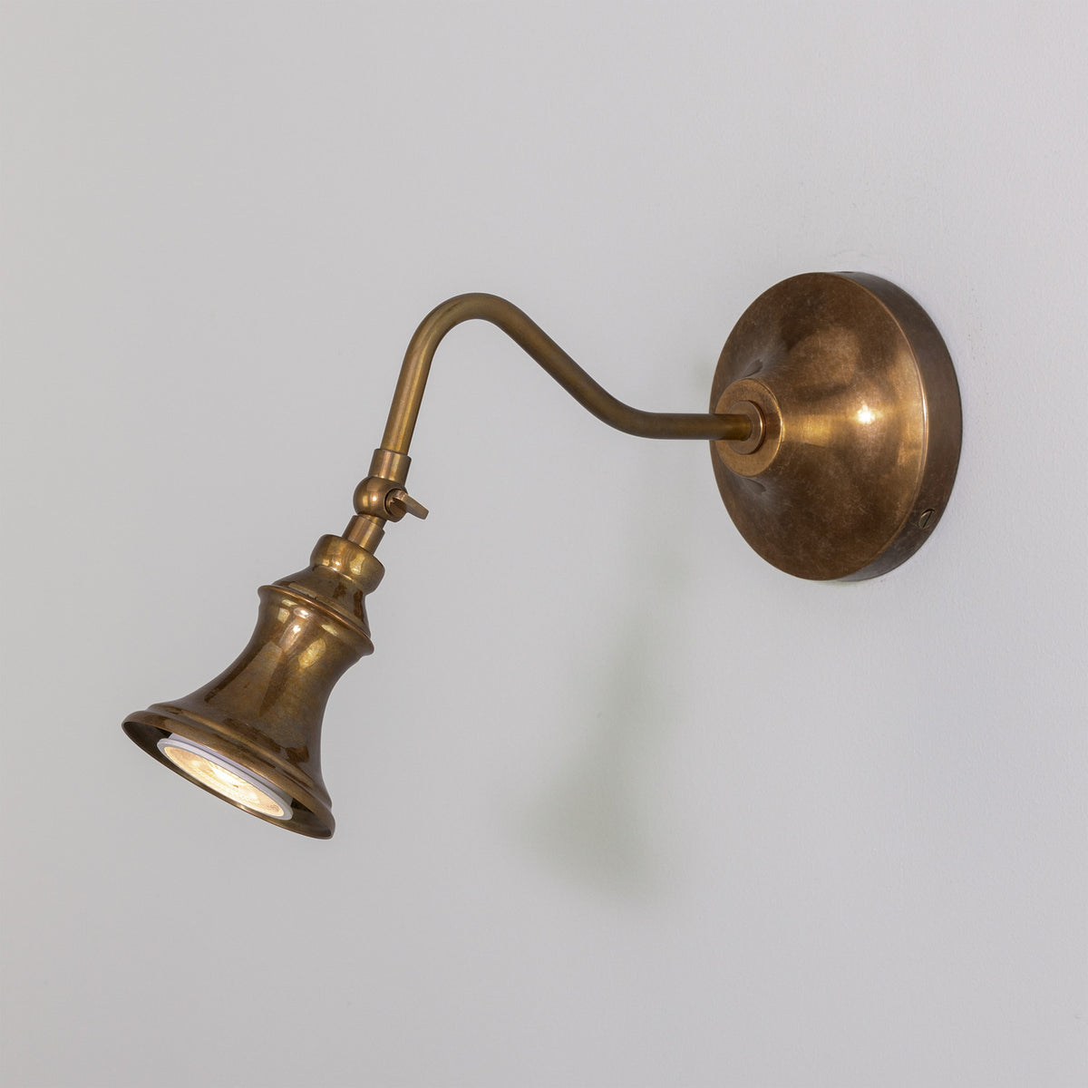 Pelmora Brass Swan Neck Wall Spotlight