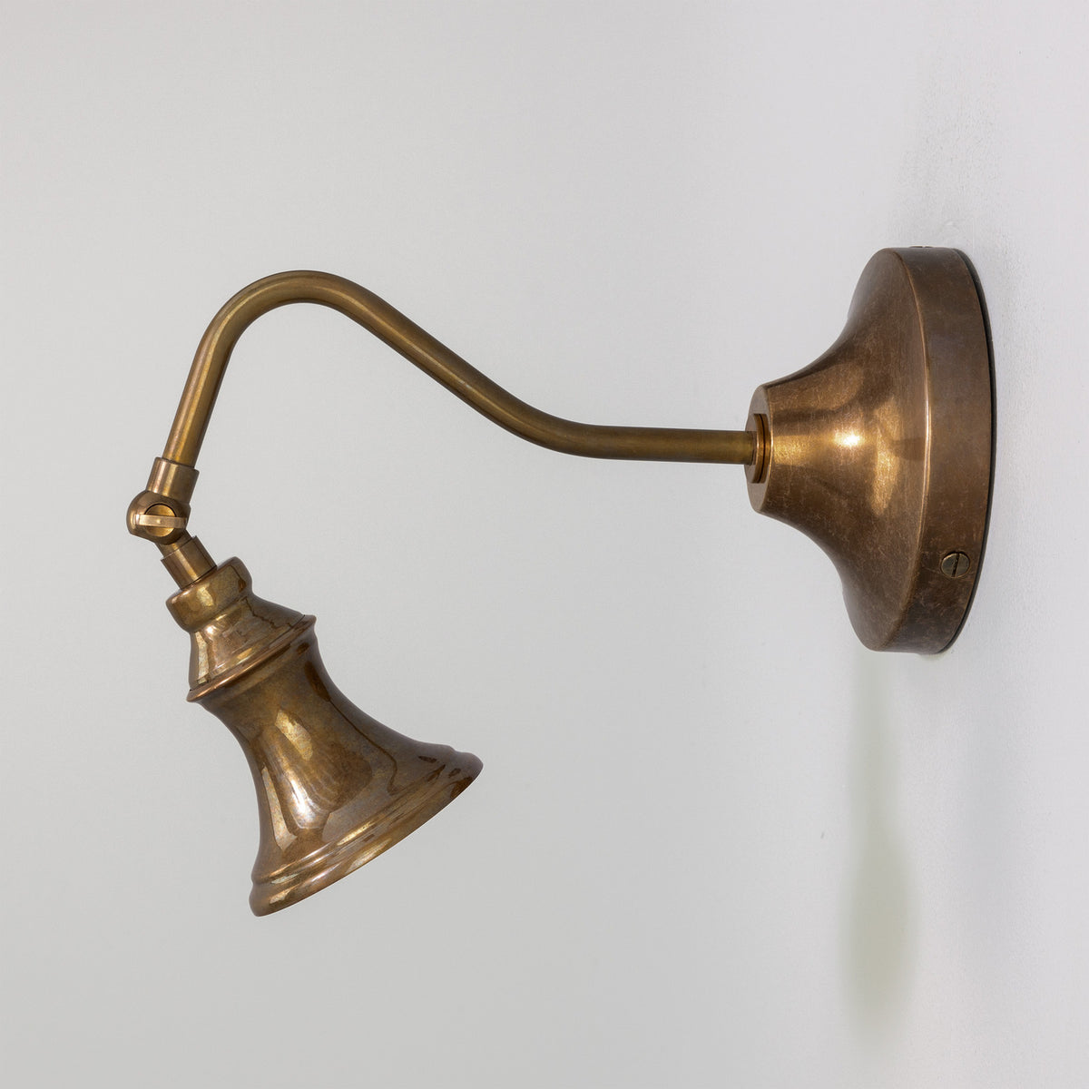 Pelmora Brass Swan Neck Wall Spotlight