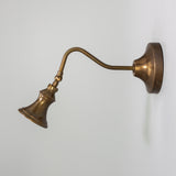 Pelmora Brass Swan Neck Wall Spotlight