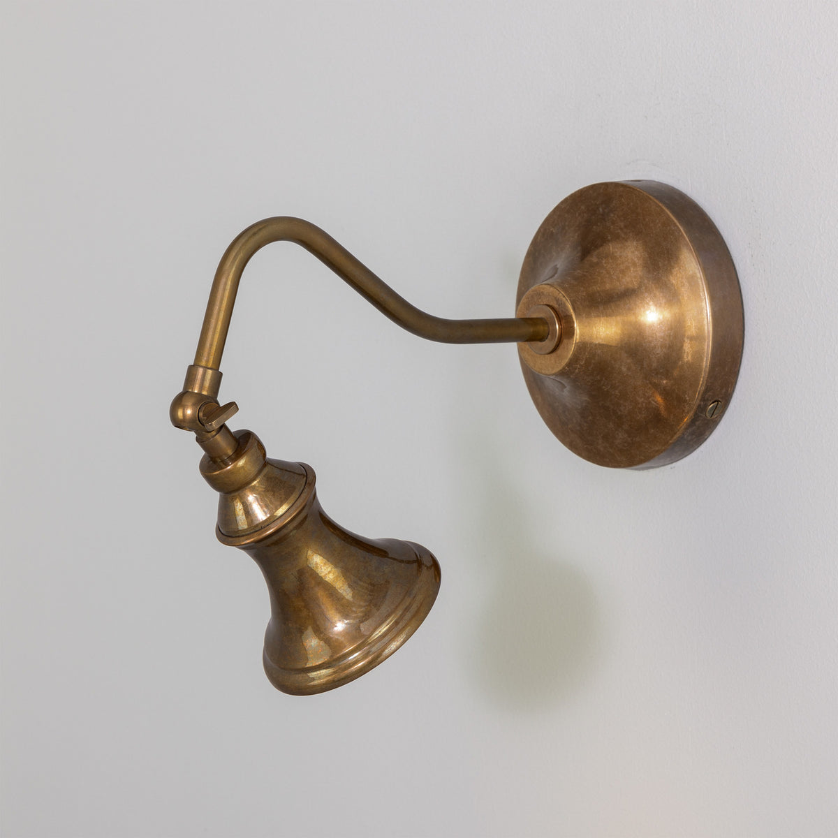 Pelmora Brass Swan Neck Wall Spotlight