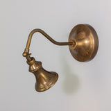 Pelmora Brass Swan Neck Wall Spotlight
