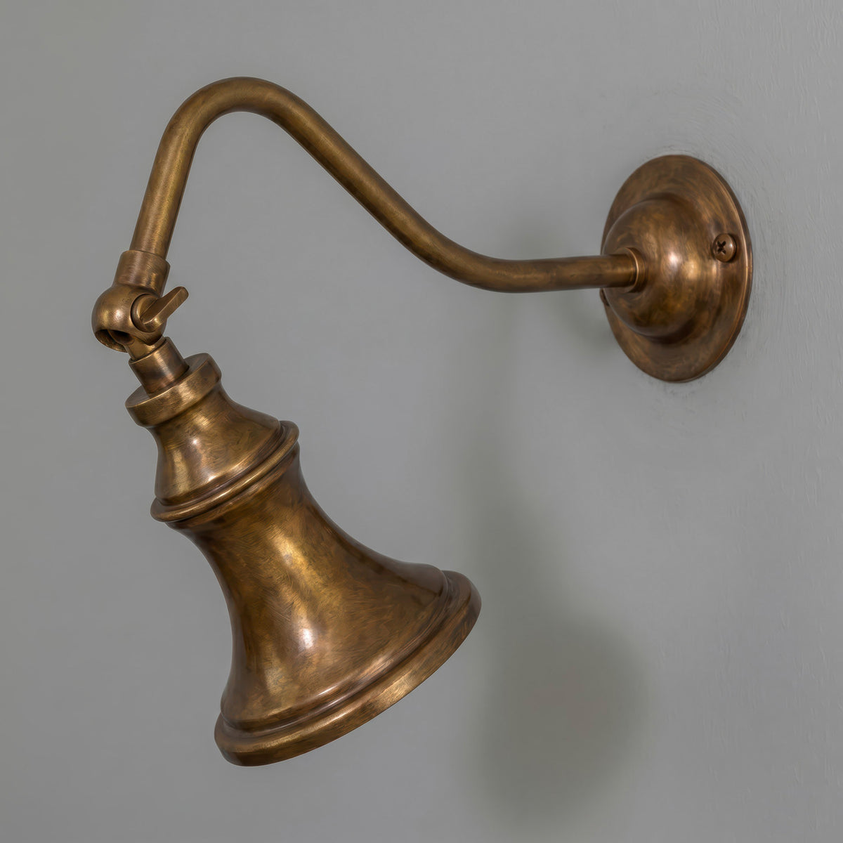 Pelmora Brass Swan Neck Wall Spotlight
