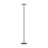 Piagnolo LED Floor Lamp - Black