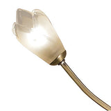 A close-up of the Pietra 4 Light Floor Lamp in antique brass, featuring a curved metal stem and frosted glass shades shaped like flowers, softly illuminated for gentle ambient lighting.