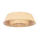 Prenvanne Ceiling Light - Black