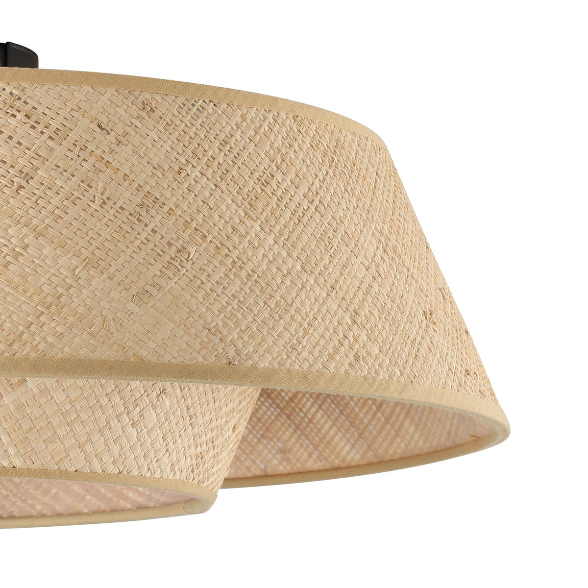 Prenvanne Ceiling Light - Black