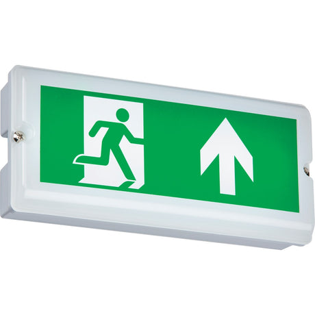 IP65 4W LED Emergency Bulkhead (maintained/ non-maintained) - White
