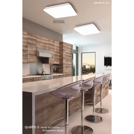 Quatro II LED Flush Ceiling Light 5000K 60W - White