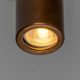 Quin Brass Flush Ceiling Light