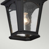 Close-up of a black outdoor lantern with seedy glass casing, showcasing a C-shaped Edison bulb glowing inside. This lantern, similar to the elegant Bedford Outdoor 1 Light Small Chain Pendant - Black, is mounted on a light gray background.