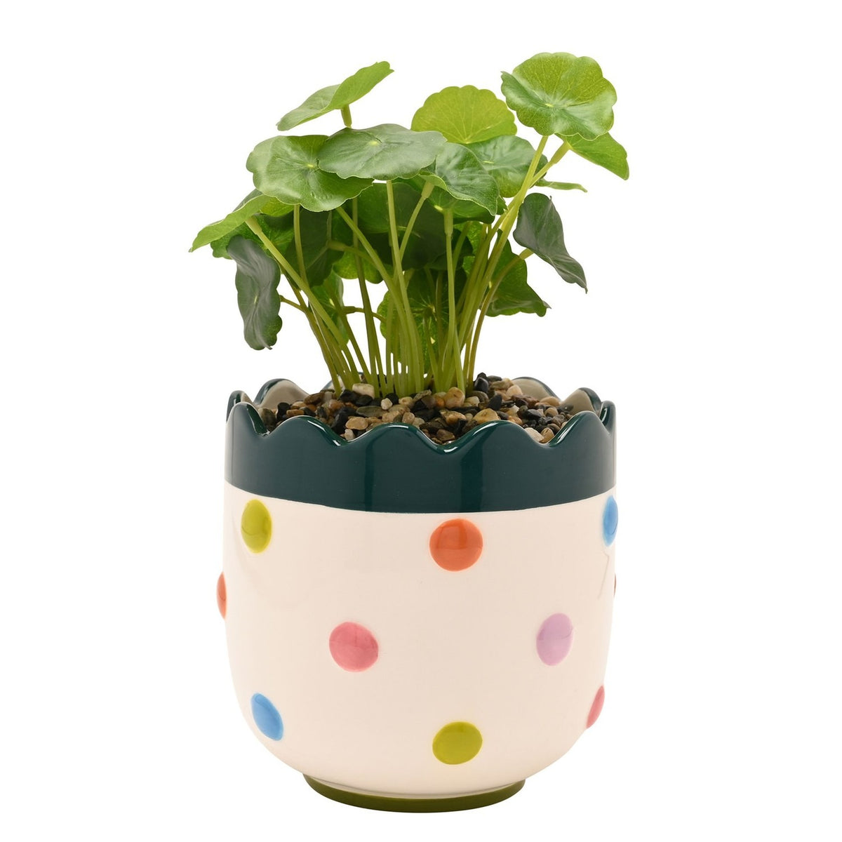 Round Scalloped Bobble Stoneware Planter with Faux Plant