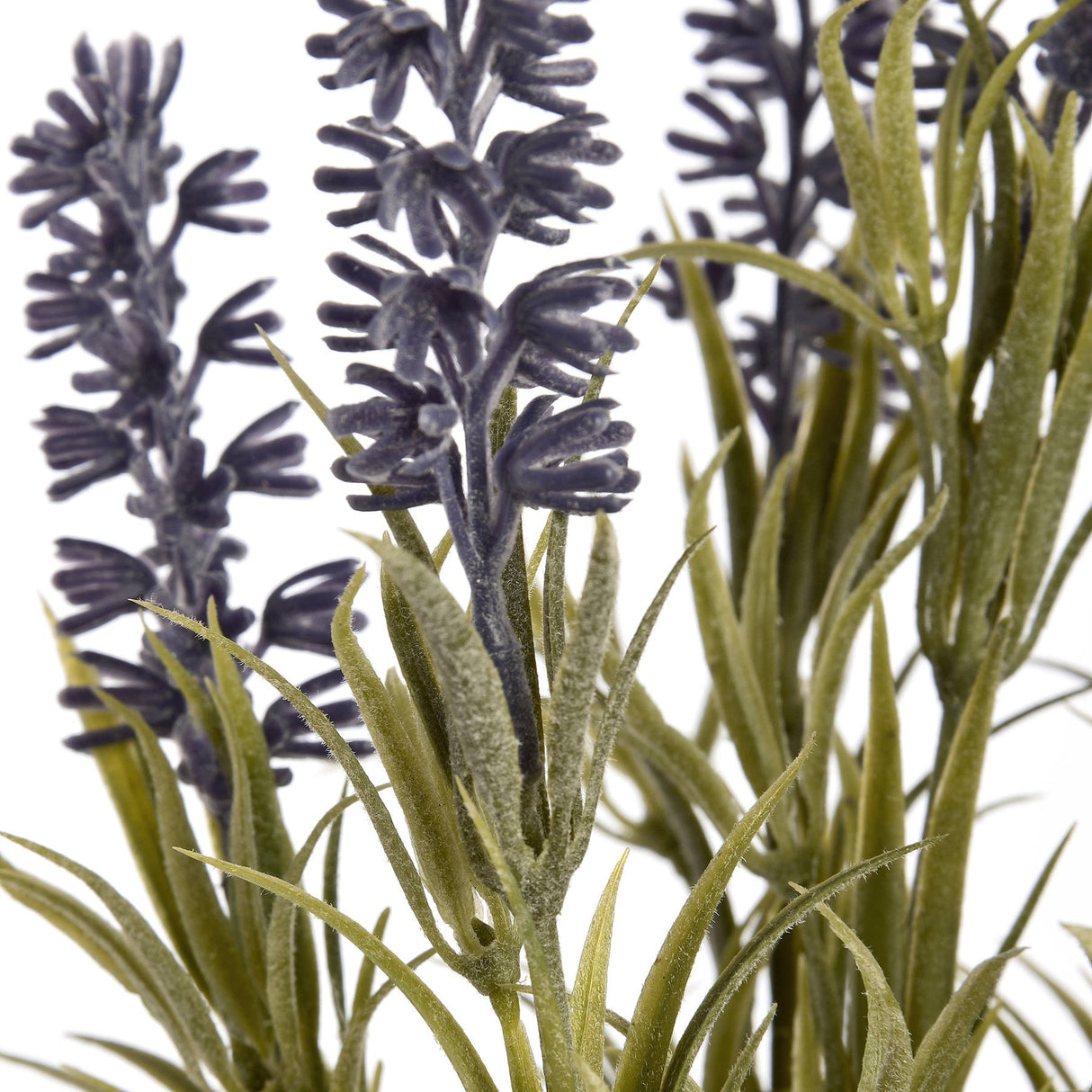 Close-up of Hill Interiors Small Lavender Spray showing clustered purple florets on slender spikes with narrow grey-green foliage against a white background.