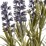 Close-up of Hill Interiors Small Lavender Spray showing clustered purple florets on slender spikes with narrow grey-green foliage against a white background.