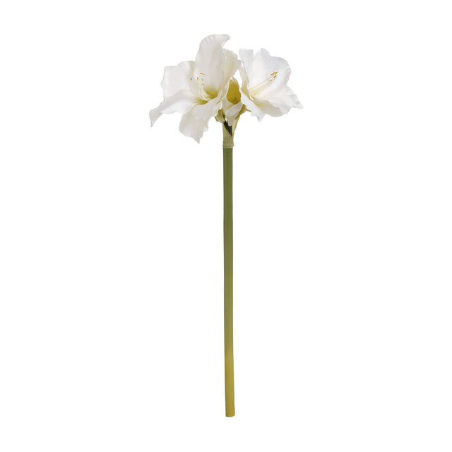 Hill Interiors Classic White Amaryllis faux flower stem with two open trumpet blooms and a tall green stalk on a plain white background.