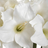 Close-up of Hill Interiors Classic White Amaryllis faux flower showing trumpet-shaped white petals, soft green centre and pale yellow stamens.