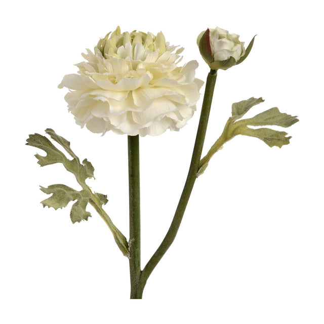 Hill Interiors Green Ranunculus Spray faux stem with a ruffled cream-green bloom, small bud and textured leaves on a wired stem, on a white background.