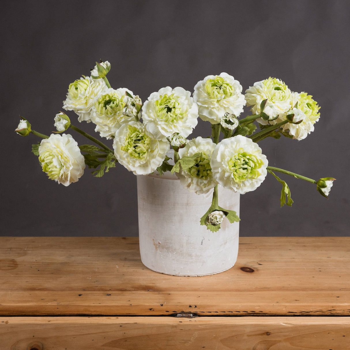 Hill Interiors Green Ranunculus Spray with layered white and green ruffled blooms and buds arranged in a white ceramic pot on a wooden surface.