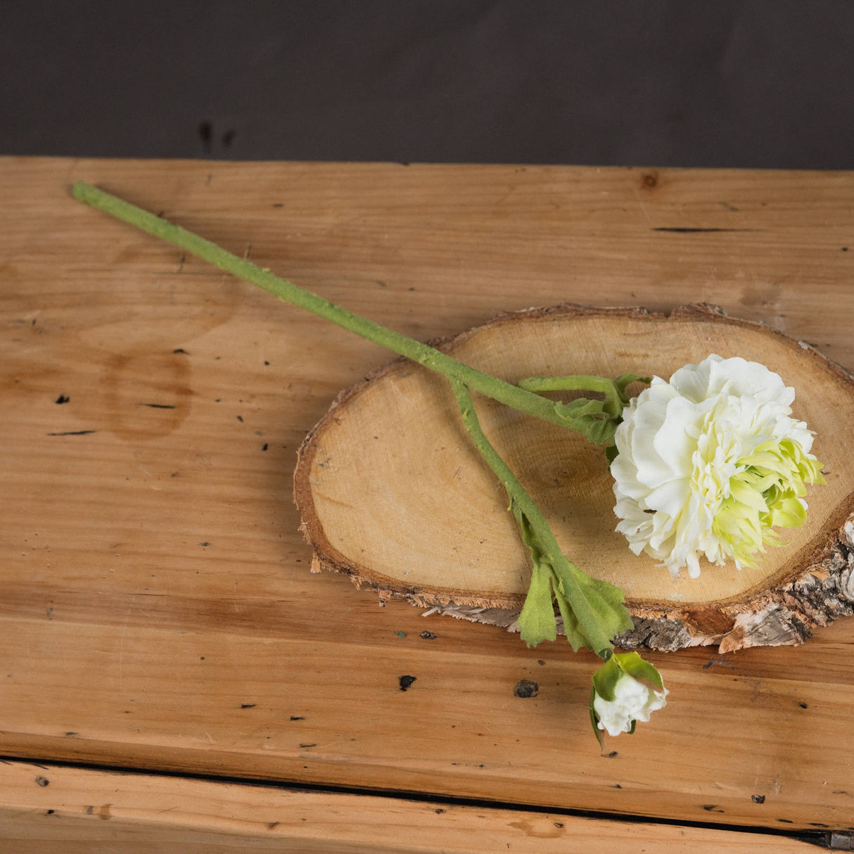 Hill Interiors green ranunculus spray with ruffled white and pale green blooms and a slim wired stem, resting on a birch wood slice atop a pine table.