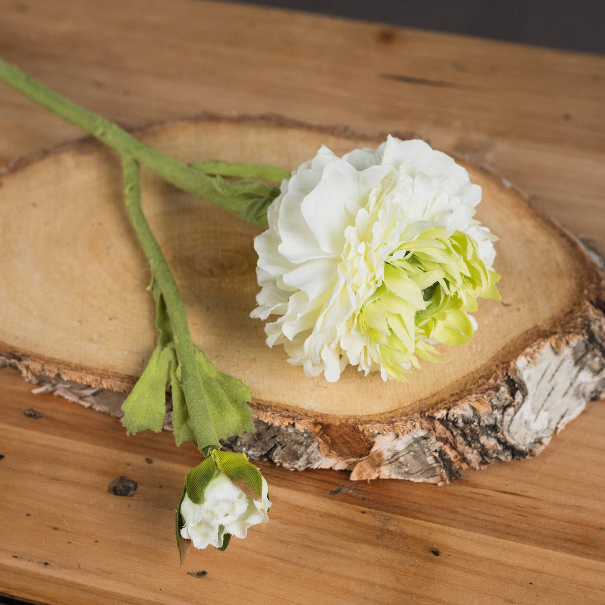 Hill Interiors Green Ranunculus Spray with layered cream and green ruffled petals and a small bud on a wired stem, displayed on a birch wood slice.