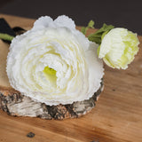 Hill Interiors White Ranunculus Spray with a full open bloom and a smaller pale green bud, displayed on a birch wood slice atop a wooden surface.