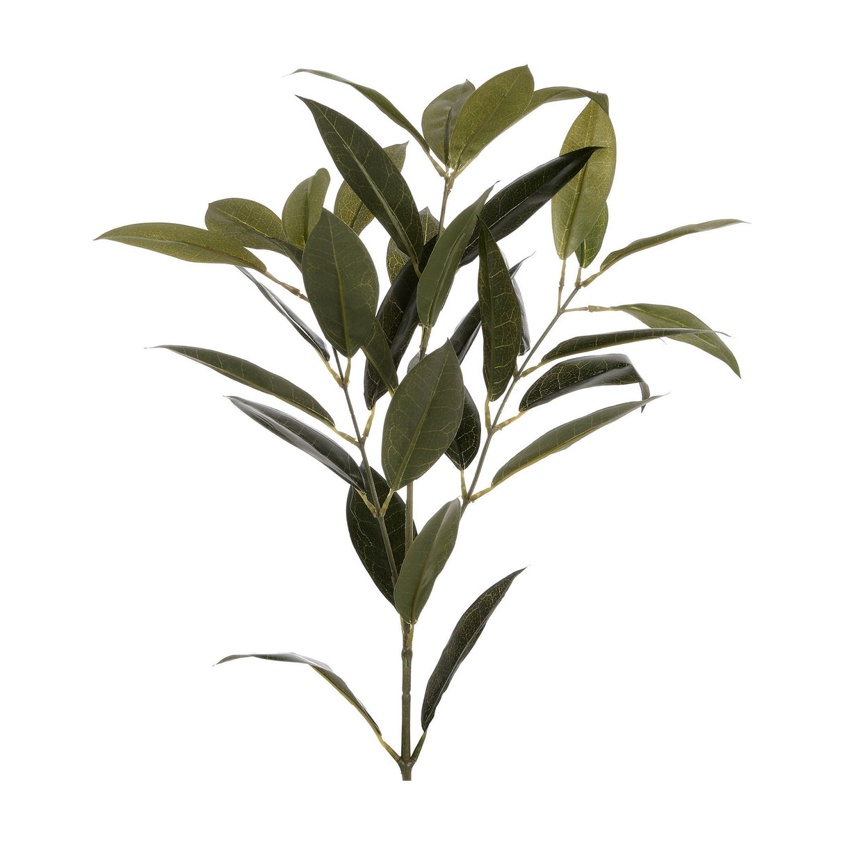 Hill Interiors Faux Bay Leaf Spray with slim tapered green leaves set at varied angles along a slender stem, shown against a plain white background.