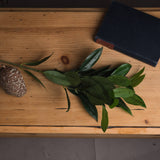 Hill Interiors Faux Bay Leaf Spray with slim green tapered leaves laid on a wooden table beside a dark hardback book and a pine cone.