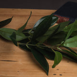 Hill Interiors Faux Bay Leaf Spray with tapered green leaves along a slender stem, laid on a wooden surface beside a dark hardback book.