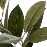 Close-up of Hill Interiors Faux Bay Leaf Spray showing tapered green plastic leaves with subtle veining and a waxy finish against a white background.