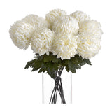 Large White Chrysanthemum