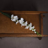 Hill Interiors White Gladioli faux flower stem with ruffled white blooms and slim green leaves, laid diagonally on a wooden panelled table.