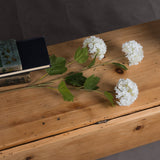 Hill Interiors Viburnum Opulus faux flower stems with rounded white floret heads and green leaves, arranged on a wooden surface beside vintage books.