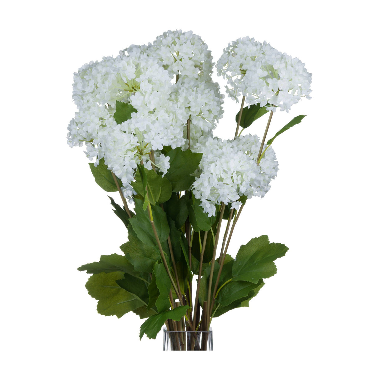 Hill Interiors Viburnum Opulus faux flower stems with rounded white snowball blooms and green leaves, arranged in a glass vase against a white background.