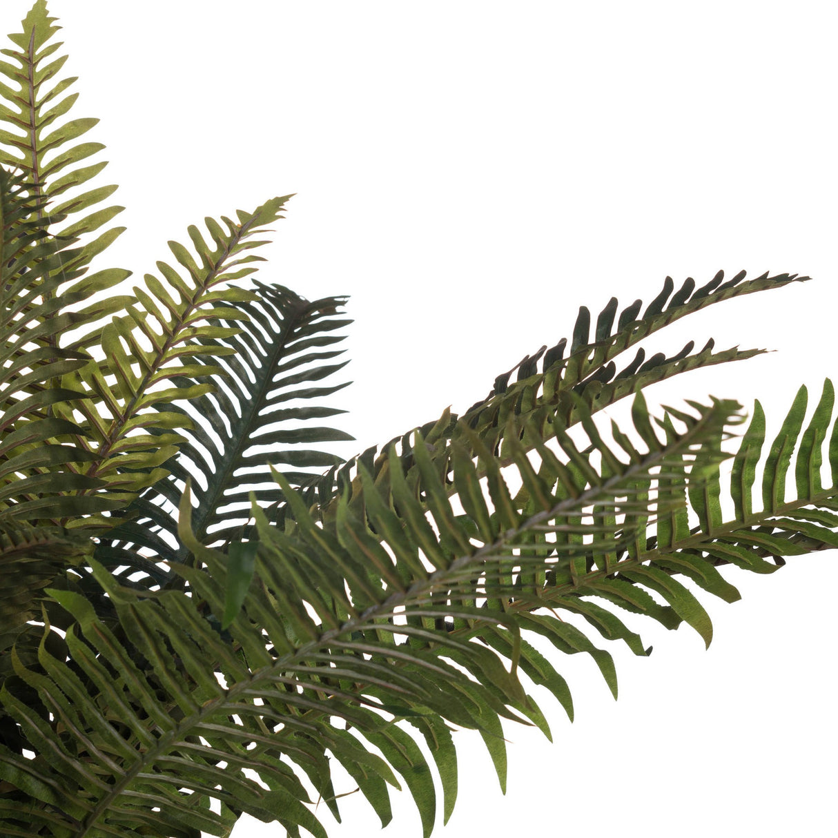 Close-up of Hill Interiors Fern Bunch faux foliage showing layered green fronds with fine serrated edges against a plain white background.