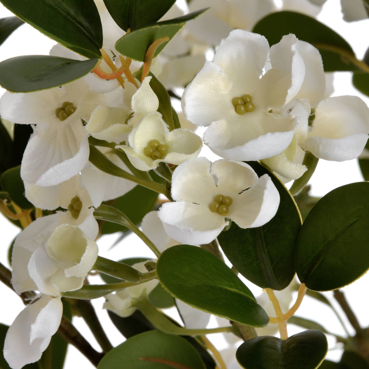 Close-up of Hill Interiors White Spring Mock Orange Flower stem showing cupped white petals with green centres and small oval leaves.