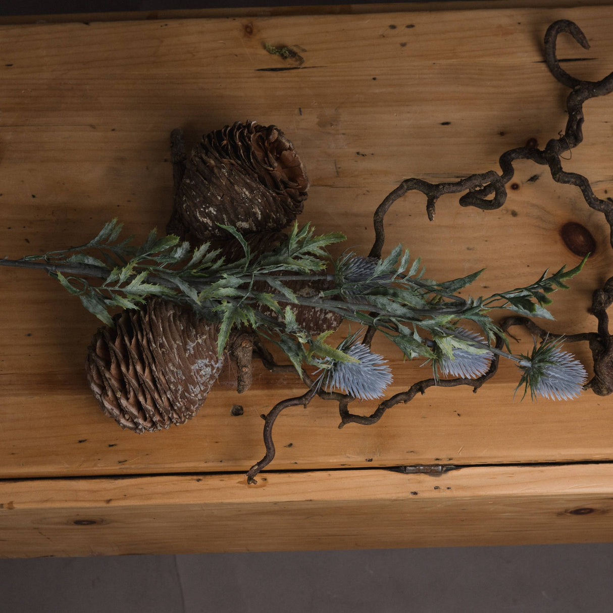 Hill Interiors Eryngium Thistle faux stem with grey cone-shaped heads and jagged green bracts laid across a wooden surface with pinecones and twisted branches.