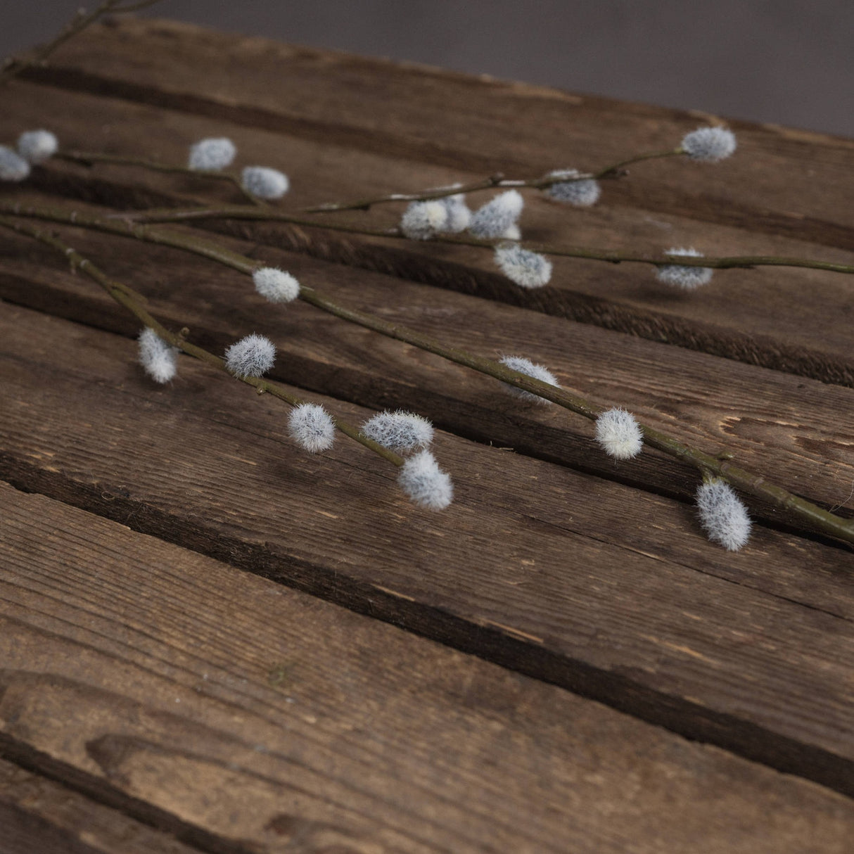 Hill Interiors Pussy Willow Branch faux foliage stems with soft white downy buds along slim green branches, laid across rustic dark wooden planks.