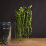 Hill Interiors Green Amaranthus faux stem with cascading beaded plumes displayed in a galvanised metal bucket on a wooden surface against a dark background.