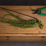 Hill Interiors Green Amaranthus faux stem with trailing beaded plumes, laid on a wooden workbench beside a metal rod and green-handled secateurs.