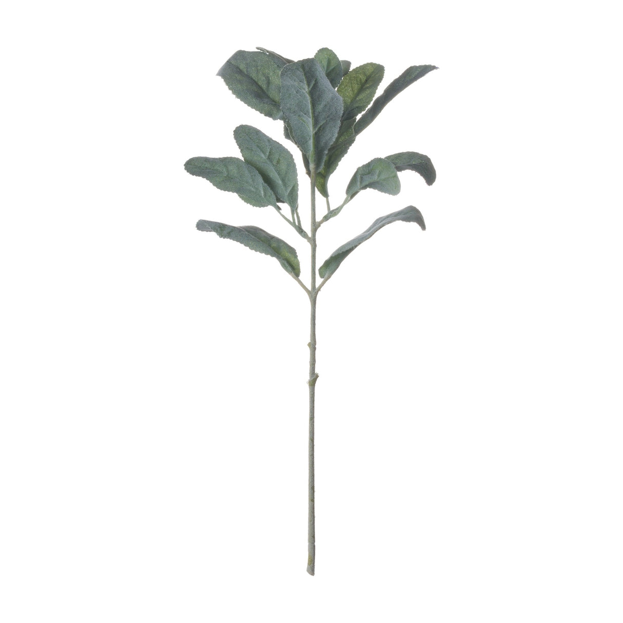 Hill Interiors Lambs Ear Spray faux foliage stem with soft downy silvery-green leaves on a slender stalk, shown against a plain white background.