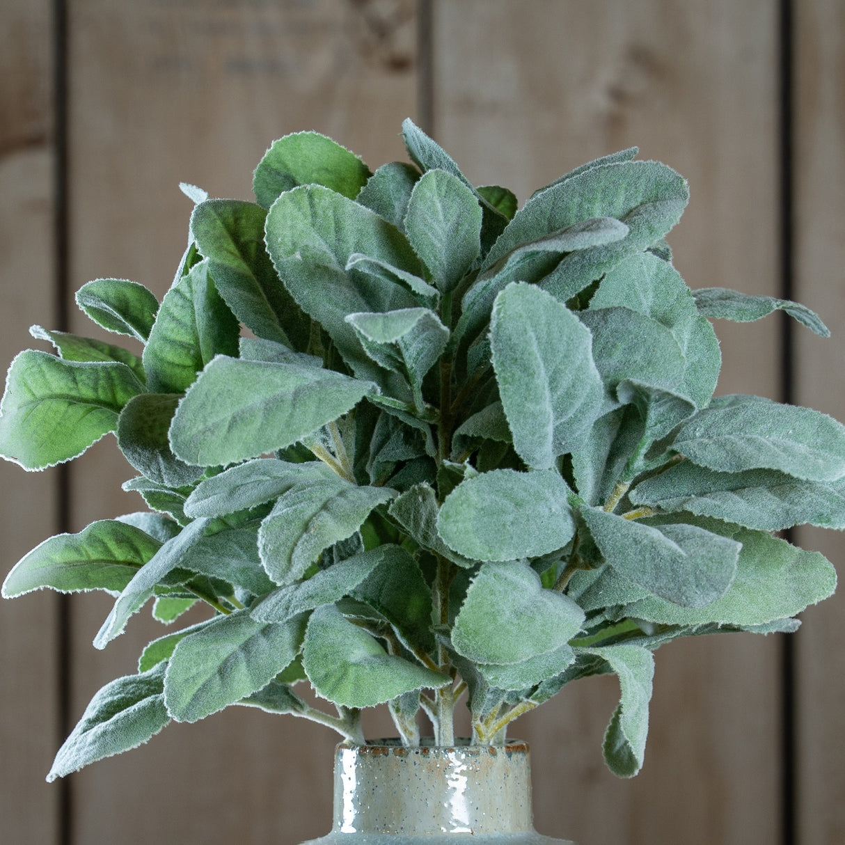 Hill Interiors Lambs Ear Spray faux foliage with soft downy silvery-green leaves, displayed in a speckled stoneware vase against a wooden plank backdrop.