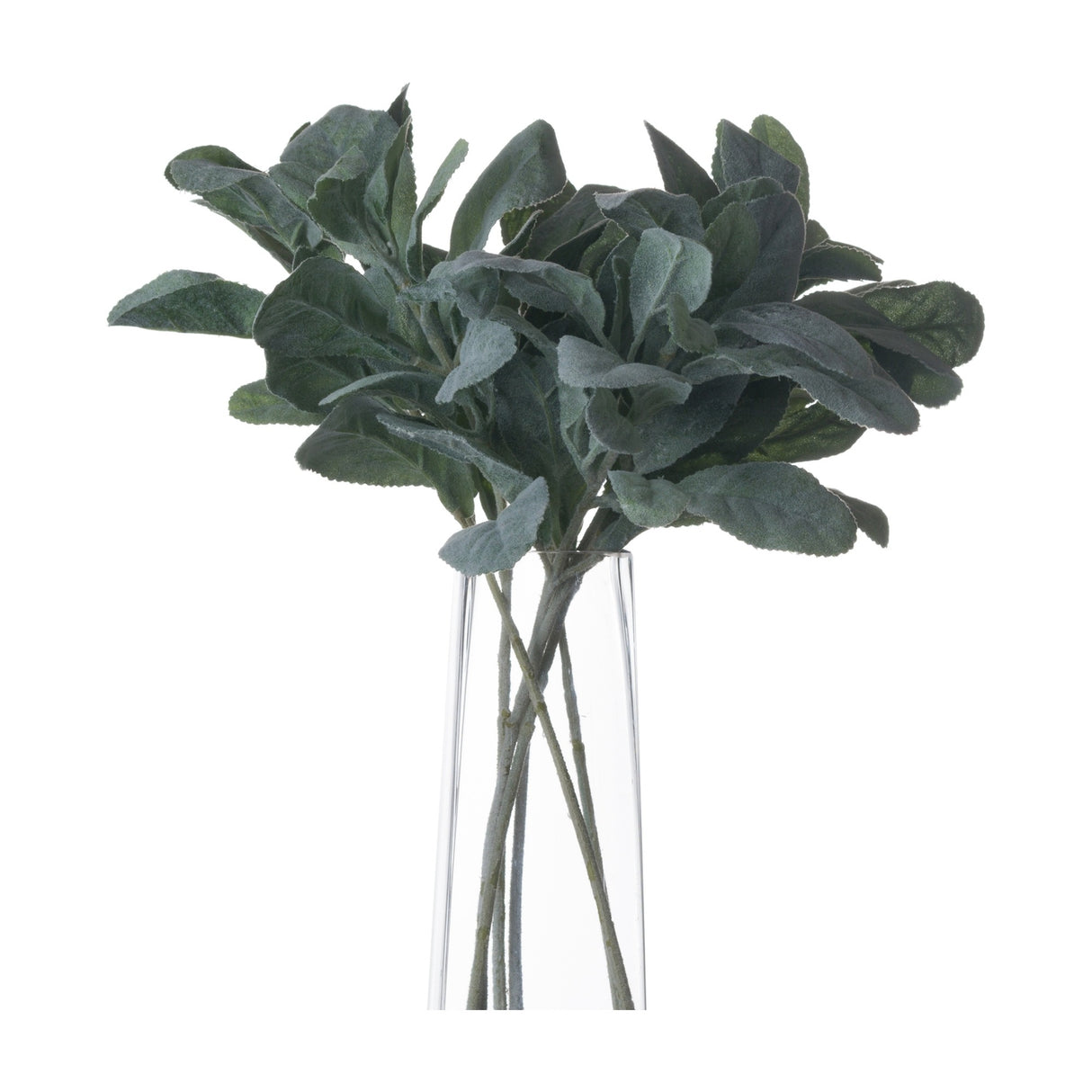 Hill Interiors Lambs Ear Spray faux foliage stems with soft downy silvery-green leaves, arranged in a clear tapered glass vase against a white background.